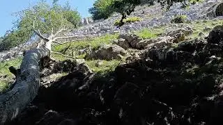 Gorbaiera