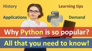 Python POPULARITY Explained in 8 Minutes!