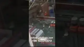 Cosmetic Tube Packaging: Fully Auto Cartoner for Mascara & Eyeliner