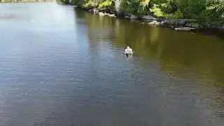 Fly Fishing for Pike   HD 1080p