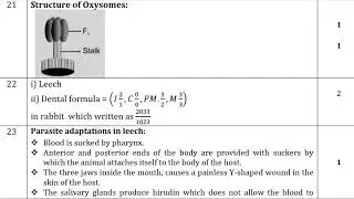 10th Science First Mid Term Answer Keys 2019-20 | Namakkal District | English Medium