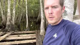 Ocklawaha River Day Trip (St. Johns to Rodman Dam)
