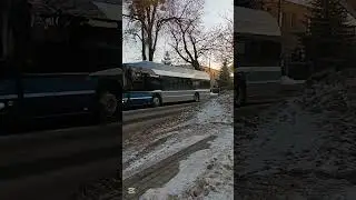 Elektryczna dw&oacute;jka | Linia:2 | Tabor: 101