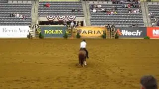 World Equestrian Games - Reigning 3