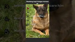 Top 5 funniest animal clips &mdash; silly moves, funny faces, and unexpected moments 🐶🐱🤣