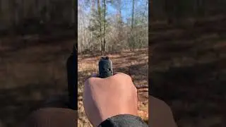 M&P Shield 2.0 (.40 caliber)