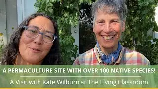 A Permaculture Site with over 100 Native Plants!