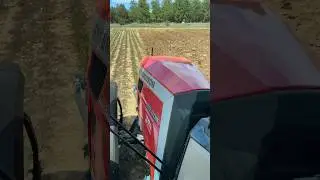 🚨 Prova in campo Massey Ferguson 8S.205 | Az. Campeti 🚨 #shorts #masseyferguson