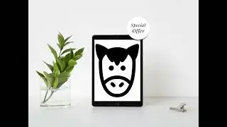 150 High Contrast Sensory Flash Cards | Baby Visual Stimulation | Montessori Newborn Cards