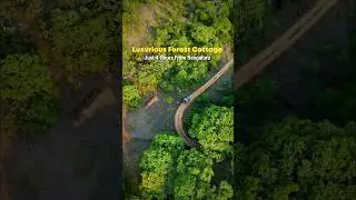 Forest Stay in Sakleshpura | Treehouse Stay in Sakleshpura | Best Forest Stay Near Bangalore