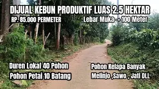 Dijual kebun Produktif Luas 2.5 Hektar, Duren ,Pete , Kelapa , Harga 85.000 / Meter Nego
