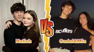Billionaire Money Nalish and Cadel and Mia  (Who's Richest on YouTube?) 