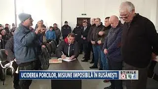 UCIDEREA PORCILOR MISIUNE IMPOSIBILA LA RUSANESTI 2911