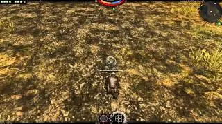 Basic Darkfall Unholy Wars Warrior Gameplay, Mounts and Combat