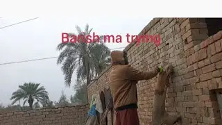 Barish ma trying and sharo or king