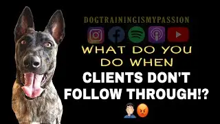 Dog Training Clients that don&rsquo;t keep up the training.