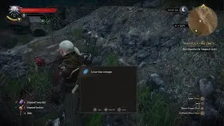 Godly Swede defeats  Heart of Stone - The Witcher 3: Wild Hunt - Complete Edition