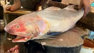 Big Indian Salmon Fish (Rawas) Cleaning & Cutting By Expert Fish Cutter; Amazing Fish Cutting Skills