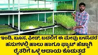 ಹಸುಗಳಲ್ಲಿ ಈ ಮೇವು ಬಳಸಿದರೆ ಪ್ರತಿನಿತ್ಯ ಒಂದು ಲೀಟರ್ ಹಾಲು,ಫ್ಯಾಟ್ ಹೆಚ್ಚಾಗುತ್ತೆ | Hydroponics Fodder System