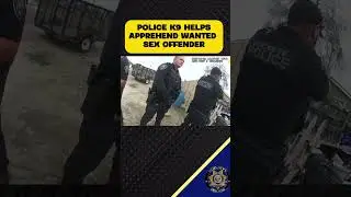 🐕🤕 K9 HELP: Buckeye Police Department attempts contact with K9 assistance. Does it work? 🤨⁉️