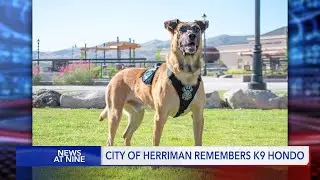 Remembering Herriman's K-9 Hondo