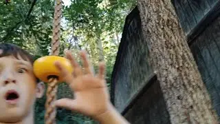 Climbing a tree tutorial