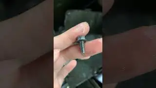 Hexagon flange head bolts#screwmanufacture #screw #screwfactory #flange #madeinchina