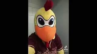 Que detallazo de nuestro amigo el Pollo Tomas, muchas gracias por el apoyo💪🏻