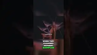 Секреты озера 😲 Маленькие существа живы! 🔬 #шорты