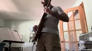 Comfortably Numb second solo. Work in progress. 20 months of guitar playing.