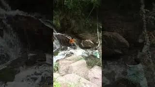 #pakistantours