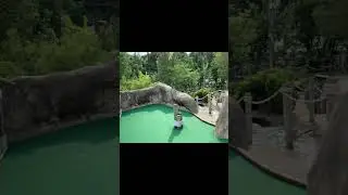 Pirate&rsquo;s Cove Adventure Golf Williamsburg Virginia 🏴&zwj;☠️ ⛳️ #williamsburg #golf #vacation #summer