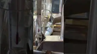 Distilling the best Whiskey #alcoholicdrinks #distillery #vodka #drink #fyp #viral #viralvideo #cafe
