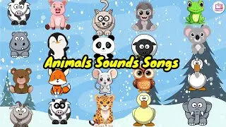 Zoo Animal Sounds Song A2 |  Nursery Rhymes For Kids | Voovly Tv |Kids Songs|