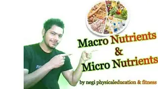 Nutrition by negi physicaleducation & fitness | Macro and Micro nutrients in hindi