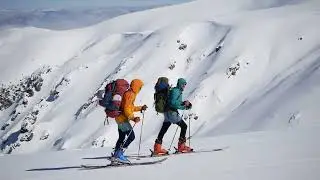 Bogong August 2022