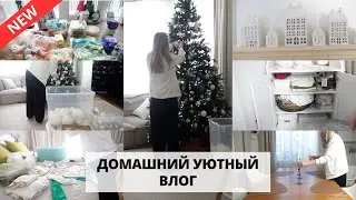 🏠 Почему SCANDI? все ломается, убираю новогодний декор, закупка продуктов, опять лечим котика
