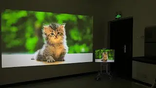 проектор projetor 4k Light Unicorn M6 PRO VS Wanbo T6 Max color