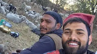 हमीरपुर के जंगलों में तिलकु भाई का डेरा देखों पहाड़ी लोगों का जीवन। 