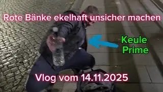 Rote Bänke ekelhaft unsicher machen🪓🍻(+Silvester-Trailer) | Vlog vom 14.11.2025