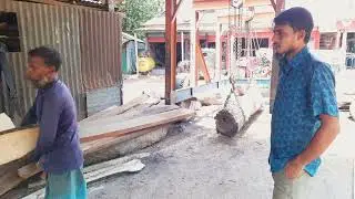 Curved Tree White Colour Cutting Specialist | Best Tree Cutting Expertism in Asia | Wood Cutting