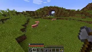 Ero nello stesso villaggio perch&eacute; ho fatto un loop. Ma &egrave; stato generato un altro Iron Gollemn.