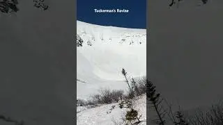 Tuckerman&rsquo;s Ravine
