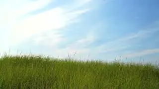 A.I.R (Shusaku Uchiyama & Yoshino Aoki) - Calendar girl