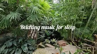 Experience Serenity:Sleep Soundly Tonight | Relaxing Music to Calm Your Mind & Body