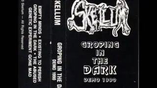 Skellum ~ 05 Genetic Experiment Gone Mad ~ Groping In The Dark EP (1990)