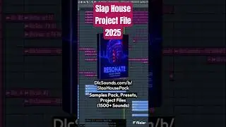 Slap House Project File 2 (Alok, R3HAB, VIZE, Dynoro) | 1500+ Samples, Presets, #alok #r3hab #dynoro
