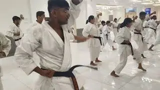 ASAI Instructors training class 1: kata: Joko Issei