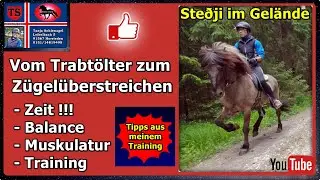 Pferdetraining Gel&auml;nde, Tipps Unterricht, Trabt&ouml;lter, Z&uuml;gel&uuml;berstreichen, Isl&auml;nder, Tanja Schienagel