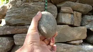 Fossile Rock. &ldquo;Real Gold-Looking Stone Hidden Inside Ancient Wall | GoldStoneQuest&rdquo;